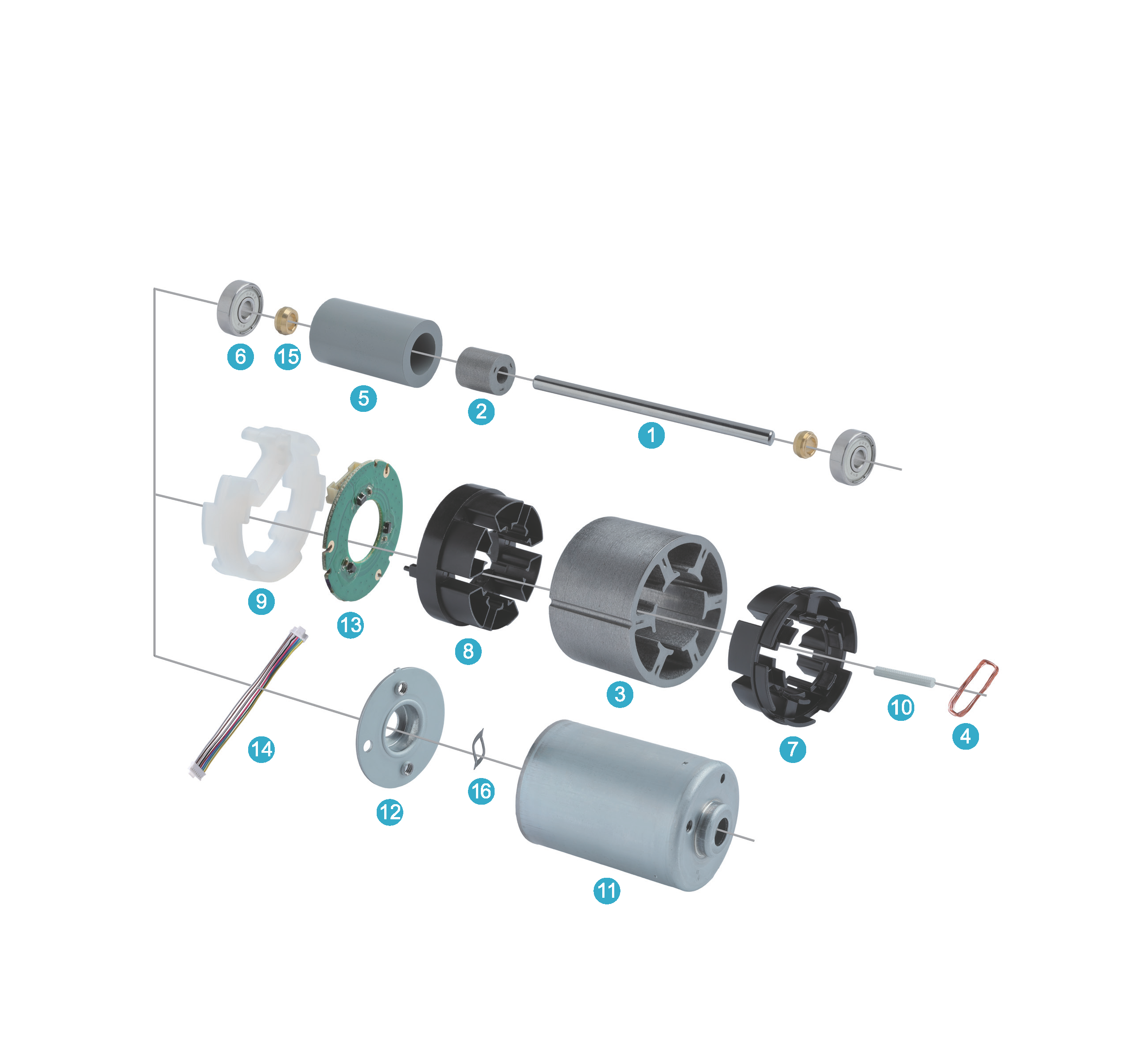 Brushless DC Motor