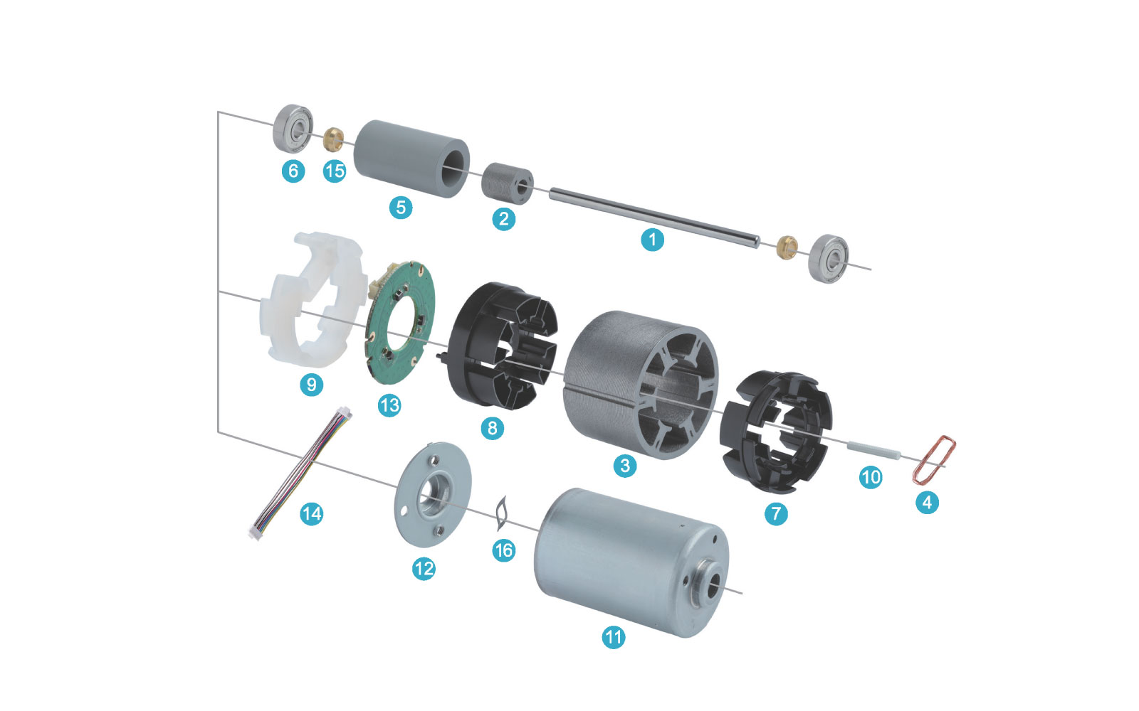 Brushless DC Motor